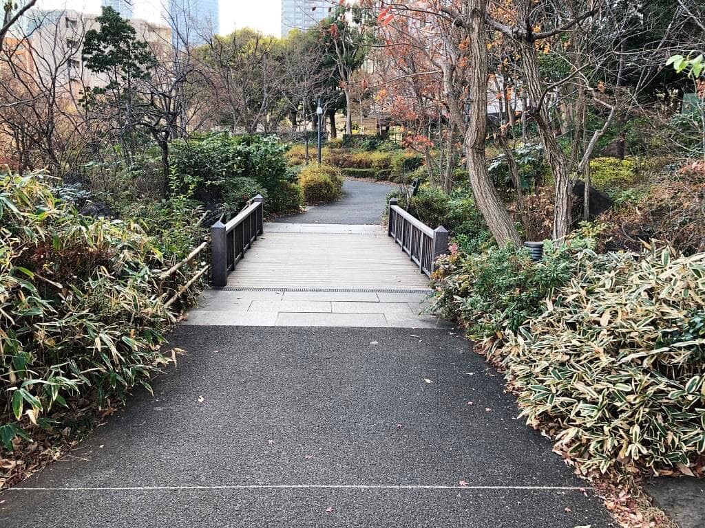 Peaceful Walking Paths