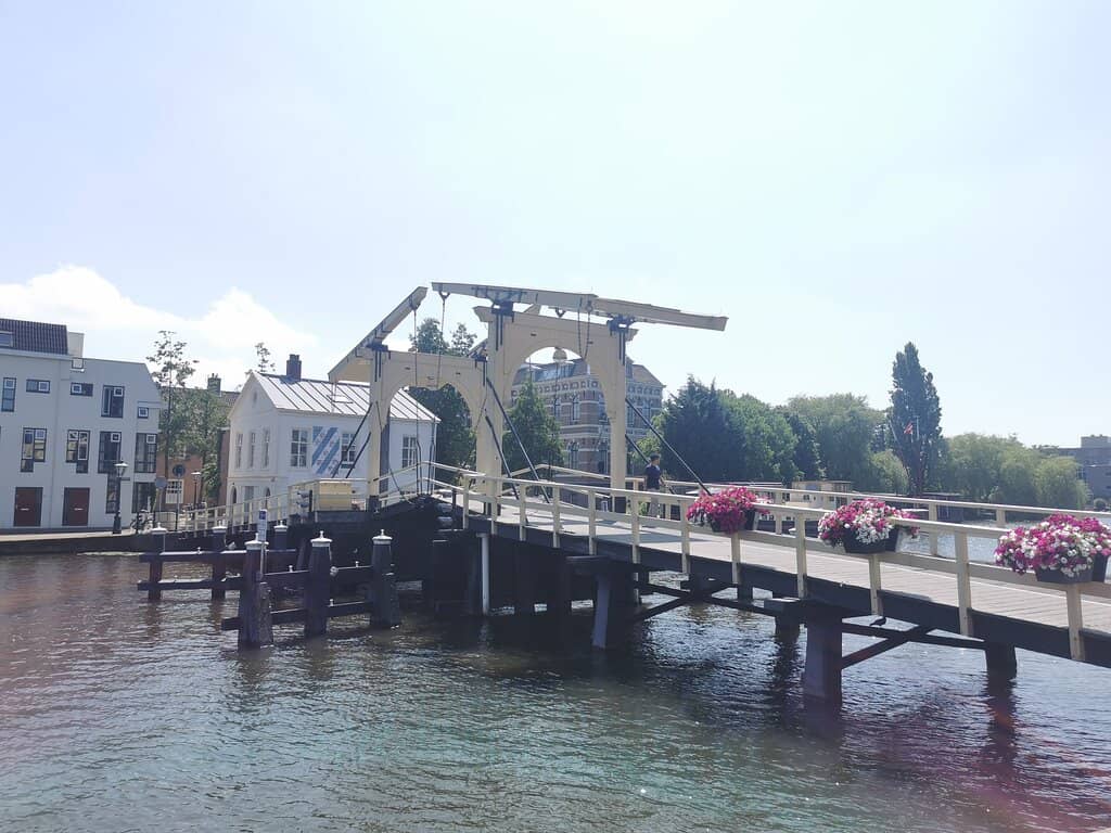 Vertical photo