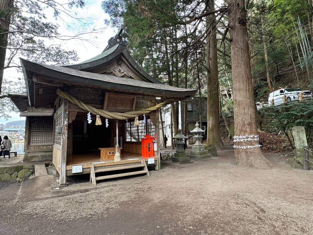 Ancient Sacred Cedar Tree