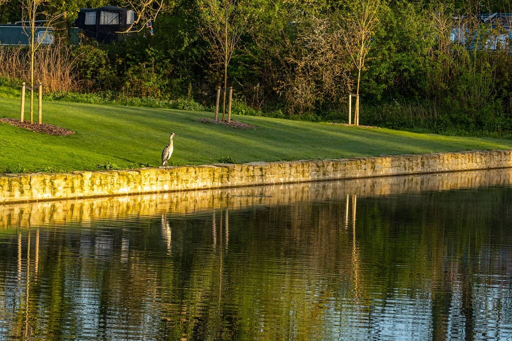 Richard Woods Water Garden