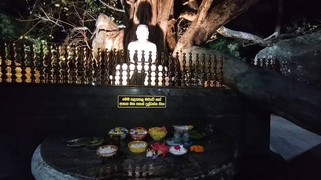 Serene Buddha Statues