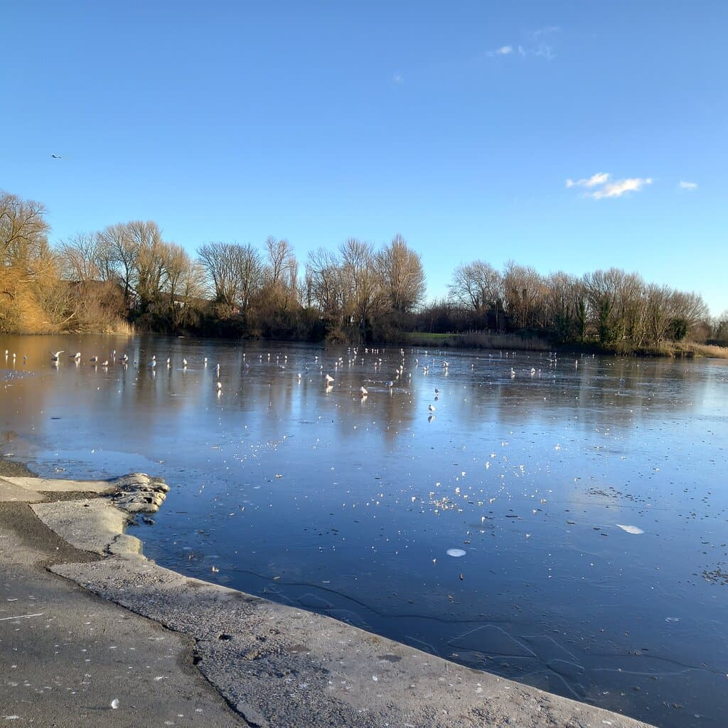 Ice on the lake at Apex Park
