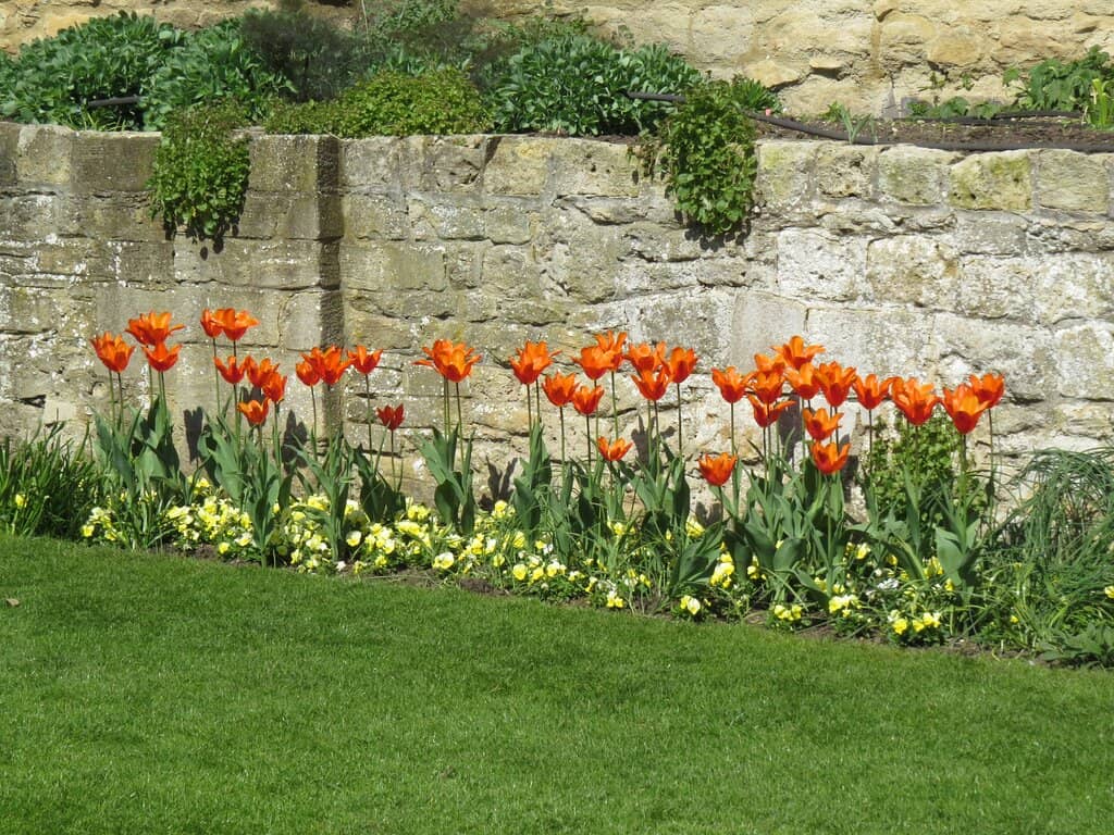 Arranged Gravestones