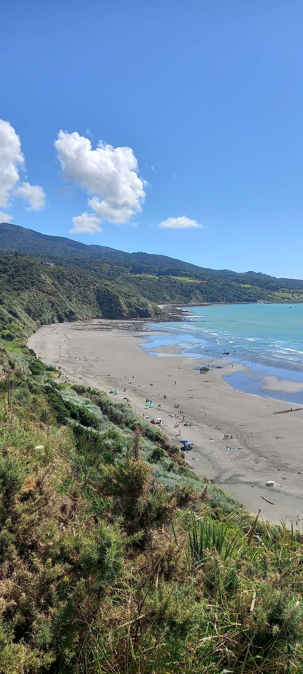 Tidal Pools Exploration