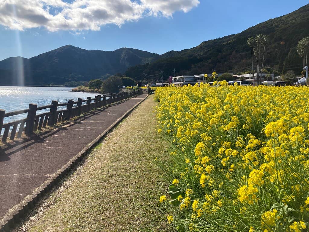Golden Torii Gate