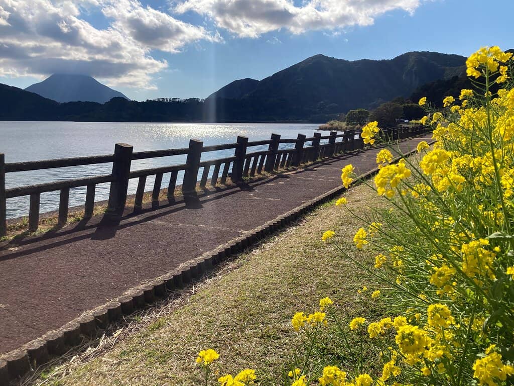 Mt. Kaimon View