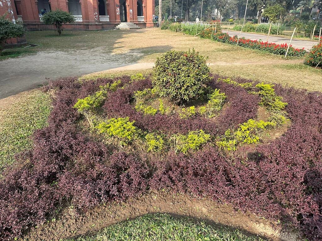Photography Hotspot