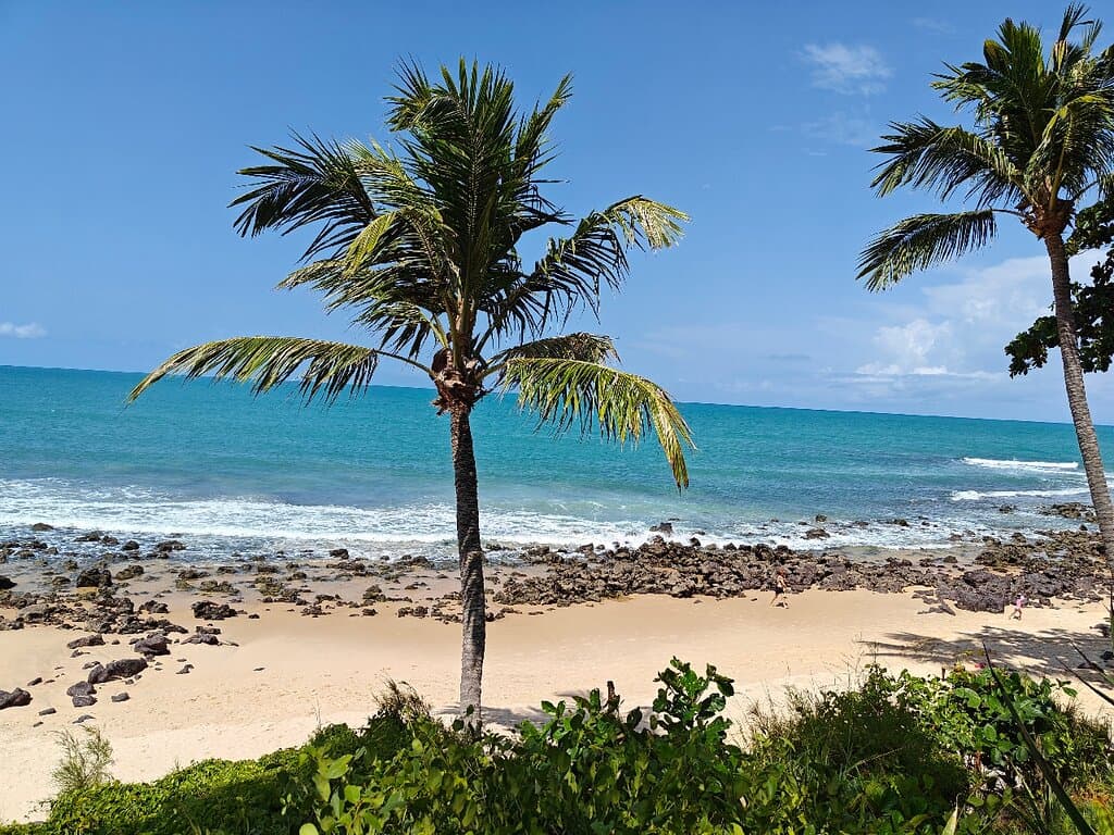 Ponta do Pirambu