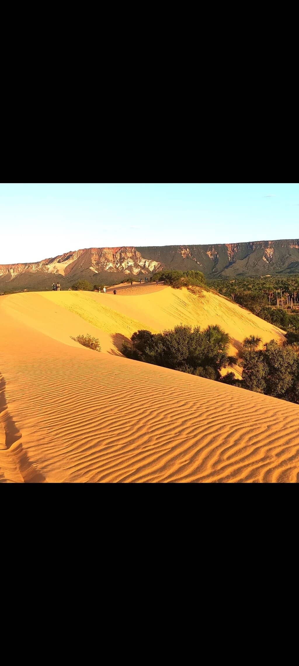 Crystal Clear Springs
