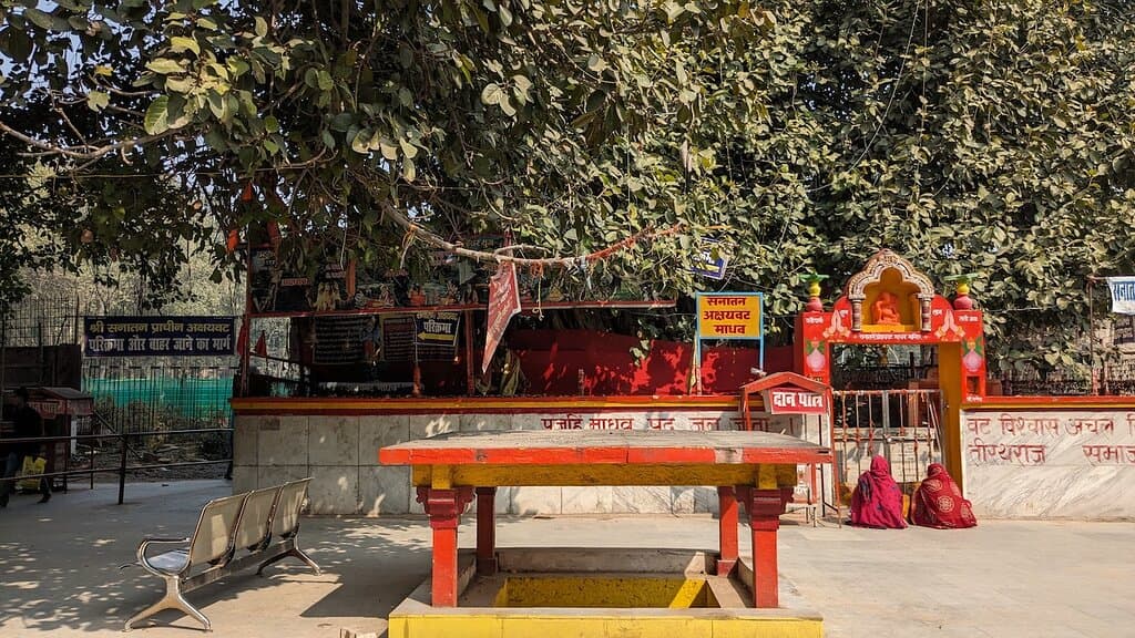 Bodhi tree