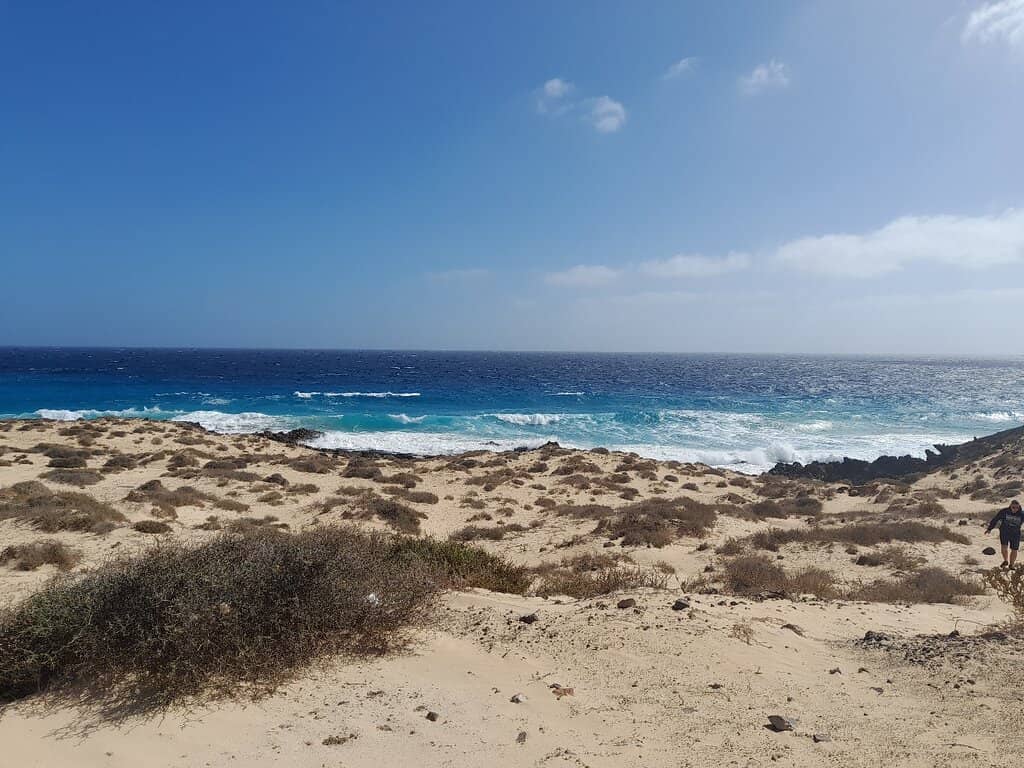 Isla de Lobos Views