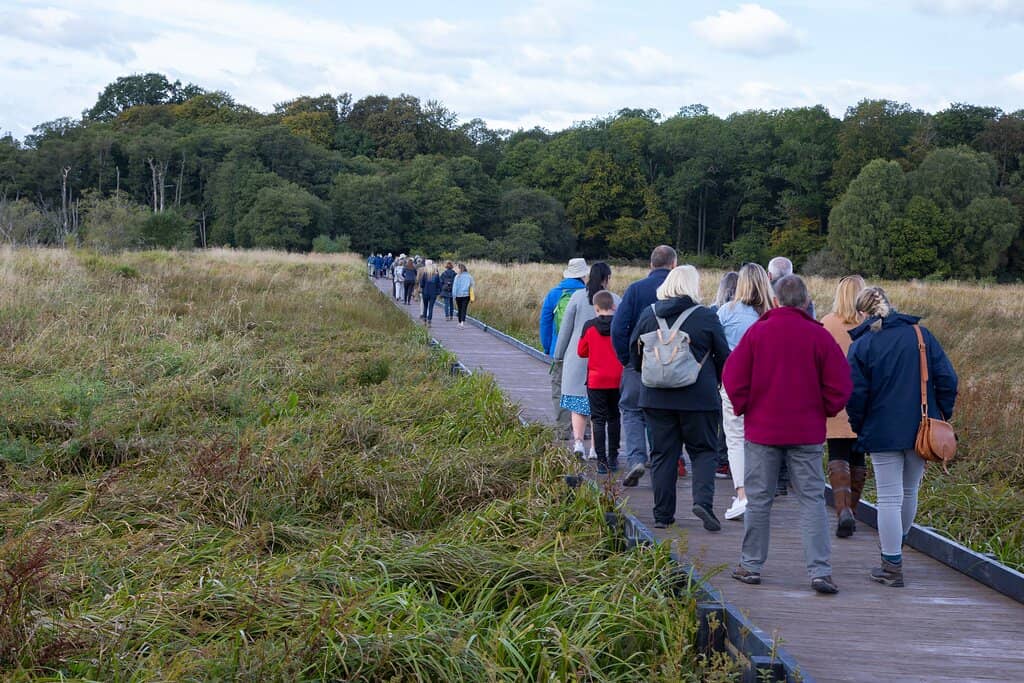 Wildlife Viewing Points