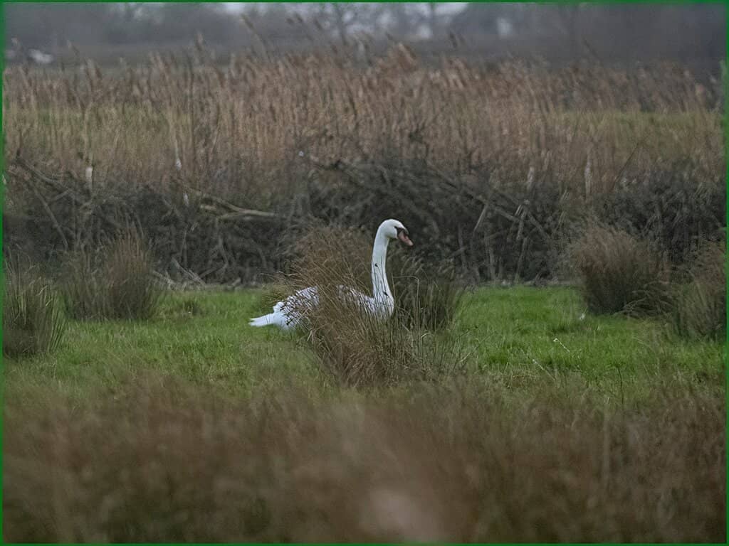 River Parrett Estuary