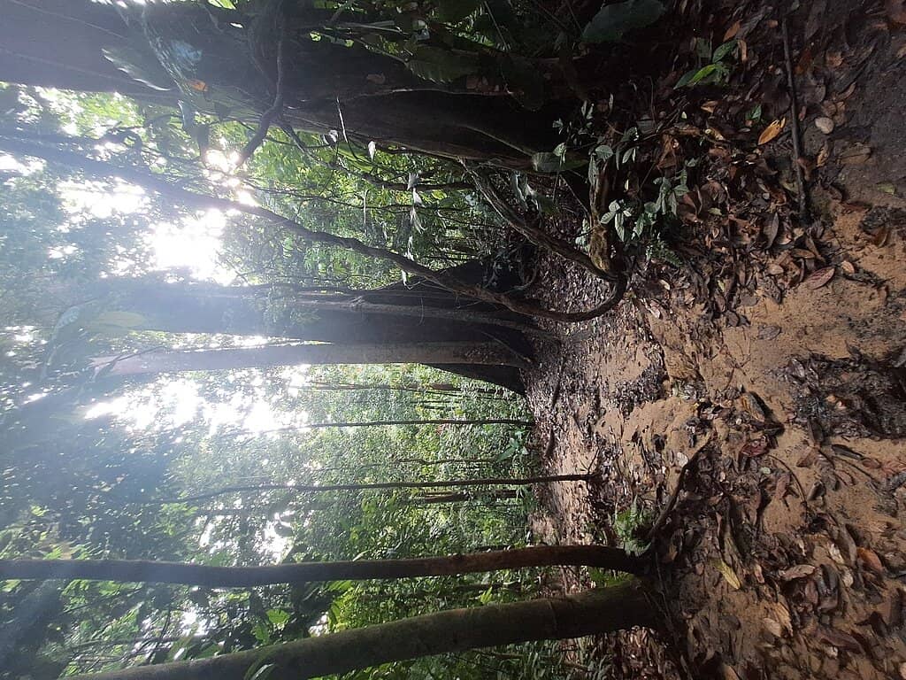 Peak Trail Adventure