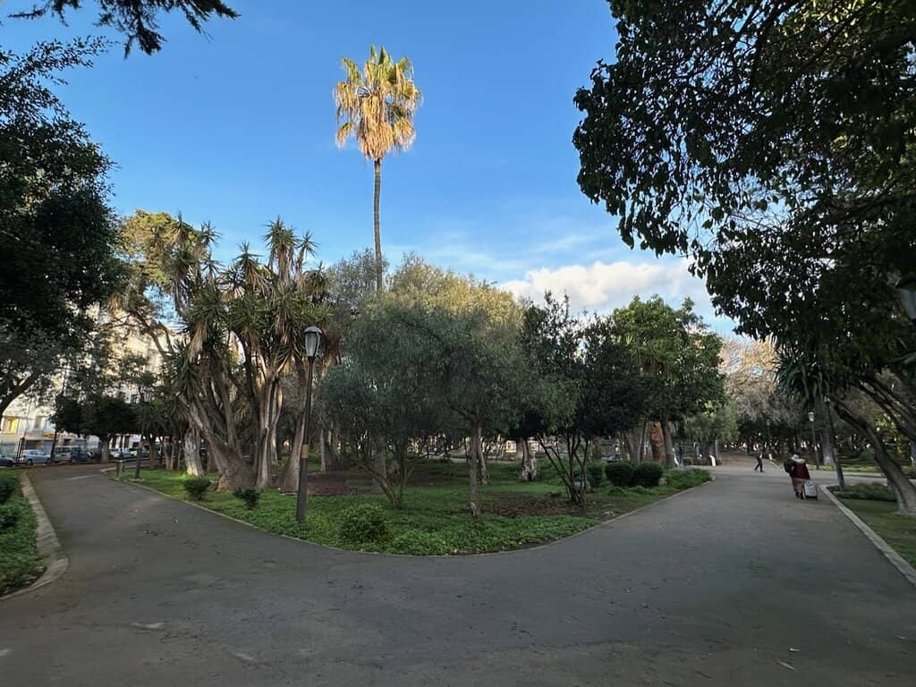 The Serene Duck Pond