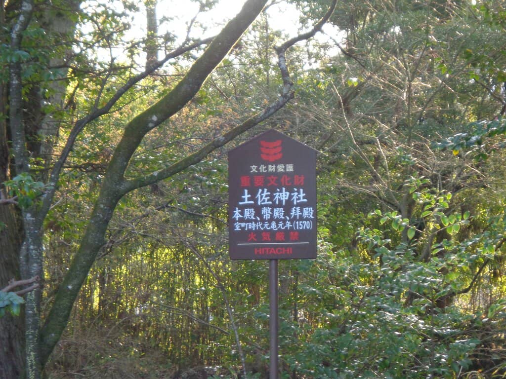 Vertical photo