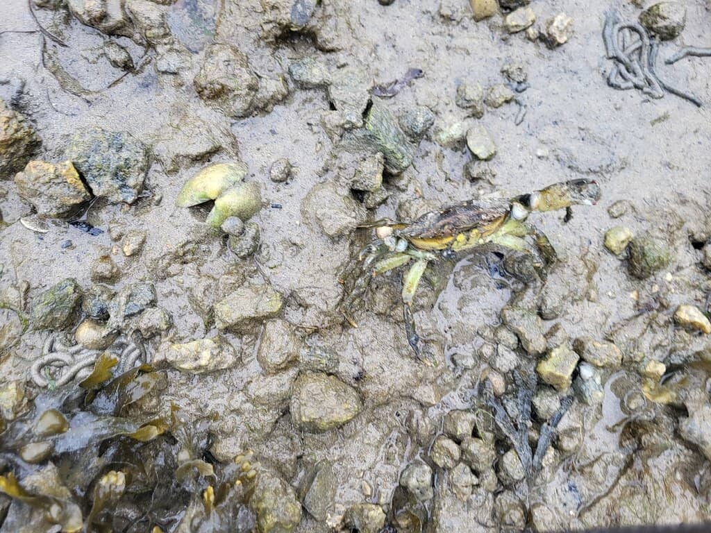 Tides Under Glass