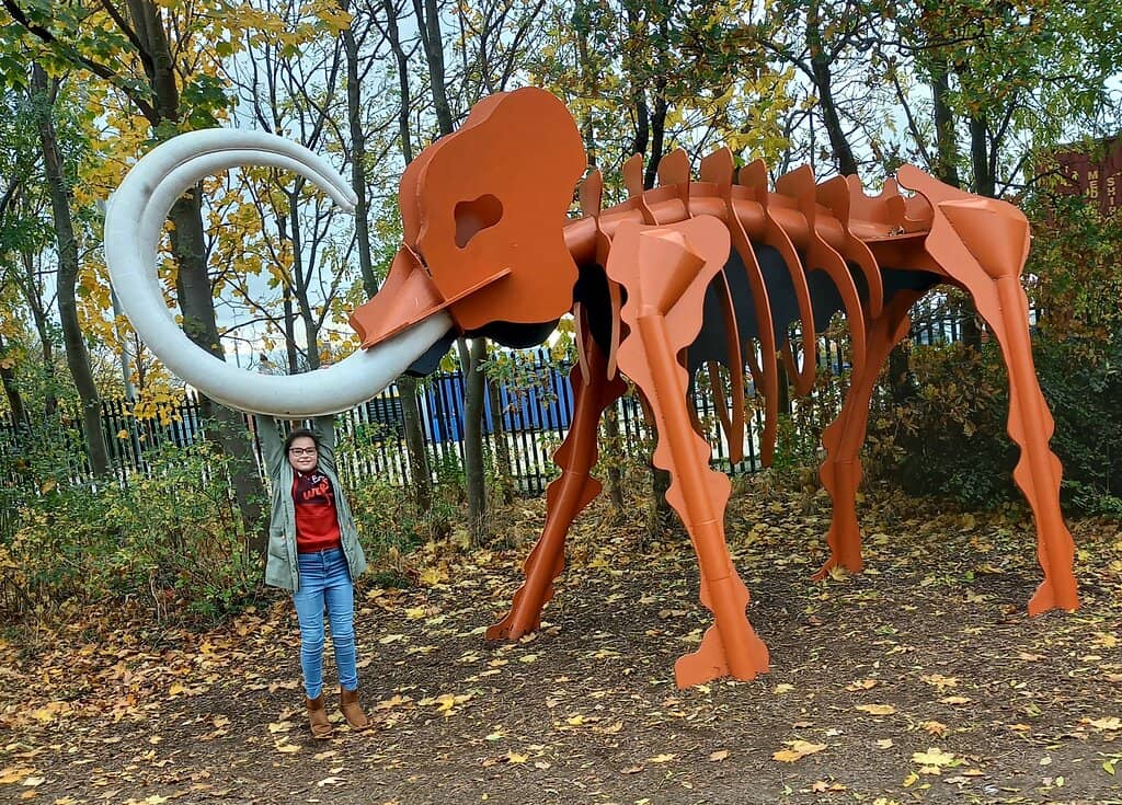 Newly Added Play Area
