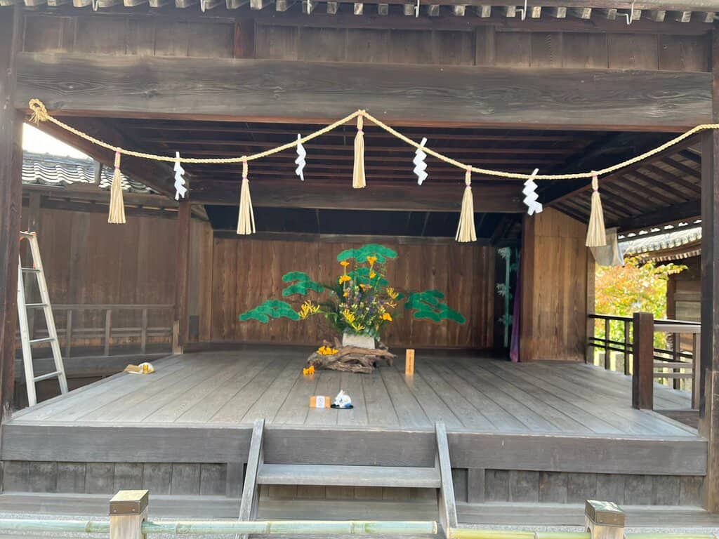 Ancient Wisteria Tree