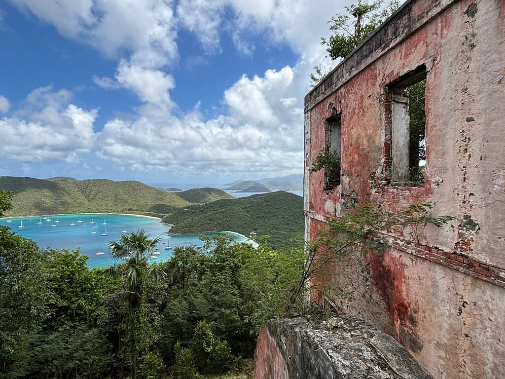 Tropical Forest Hike