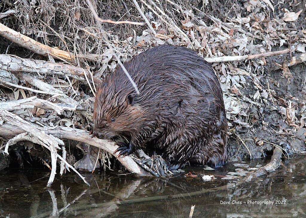 Scenic Hiking Trails