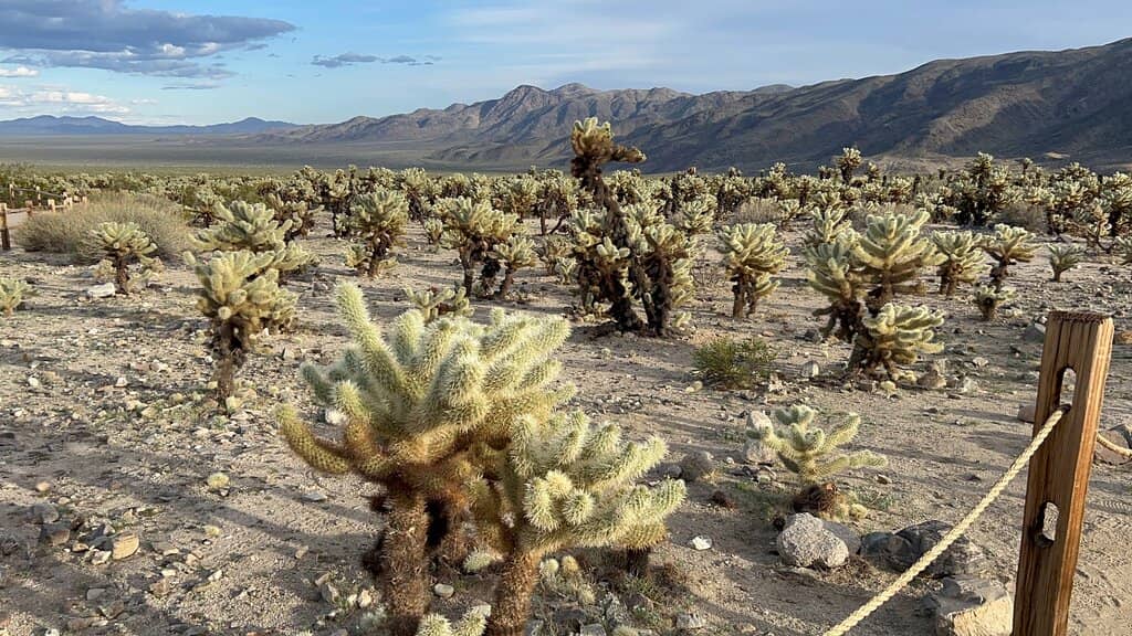 Unique Rock Formations