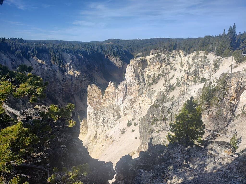 Vertical photo