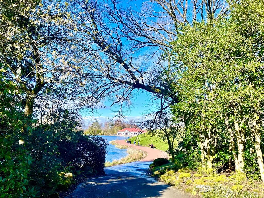 Vertical photo