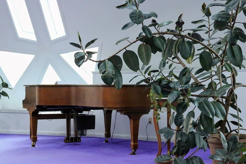 Aurora Borealis Viewing