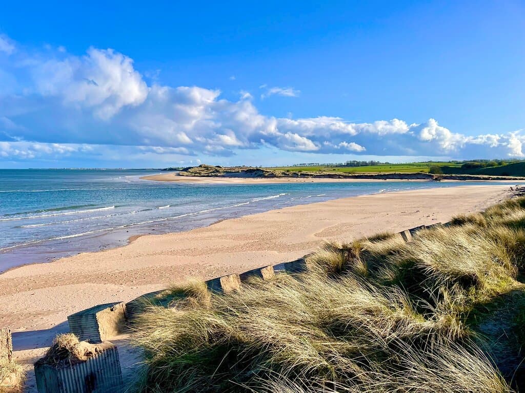 Fine golden sands backed by rolling grassy dunes , make this town at the mouth of the river Aln , well worth a visit.