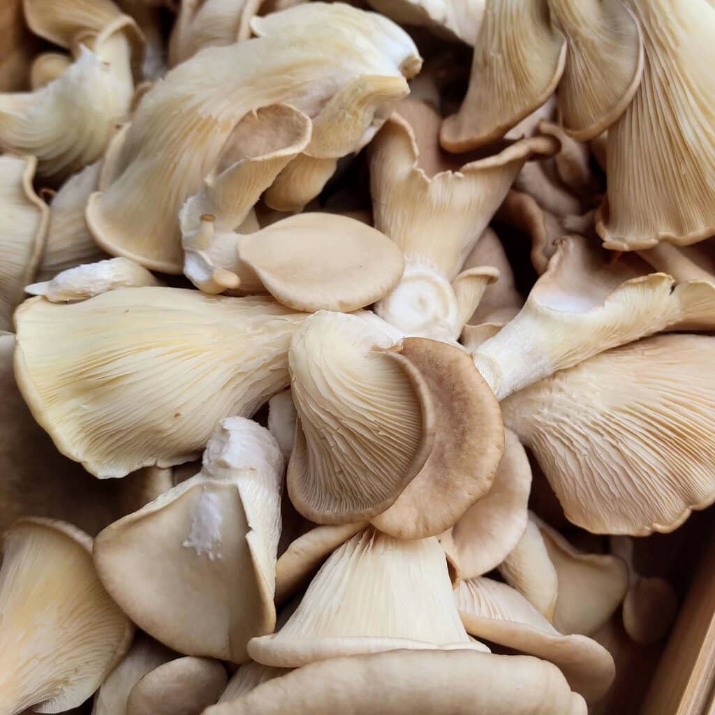 Unique Local Delicacies