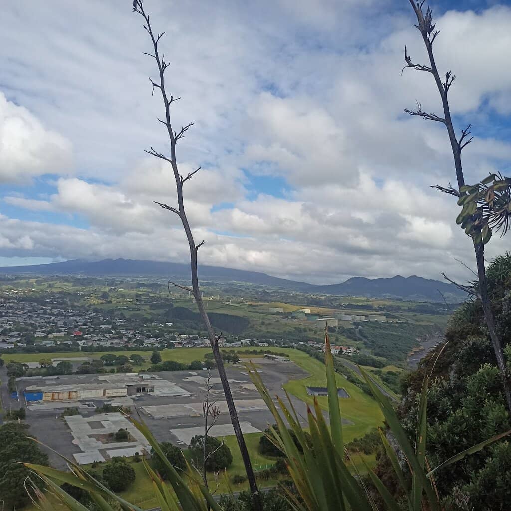 The Summit View