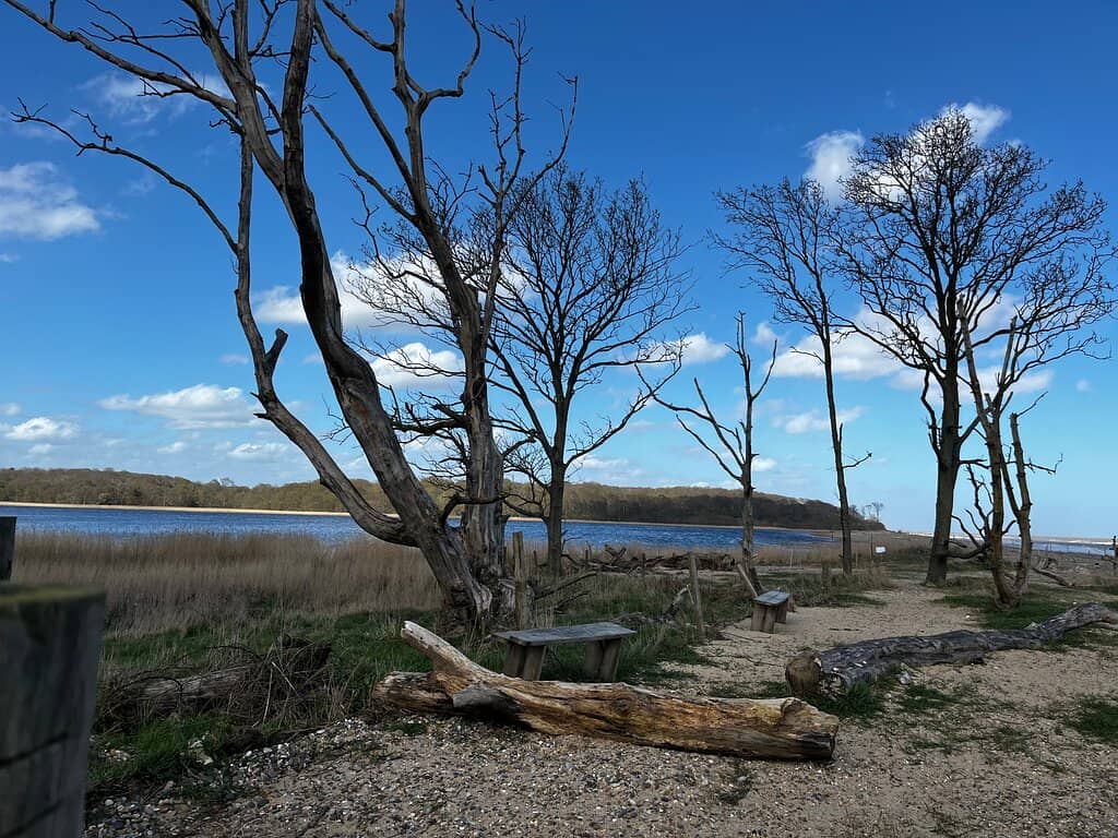 Sea Glass Hunting Paradise