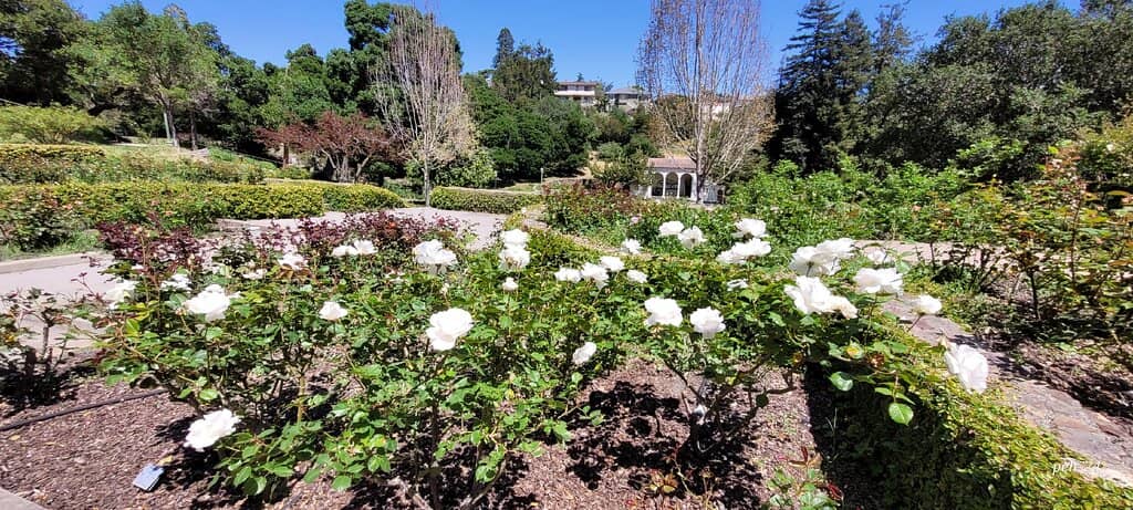Historic Amphitheater Architecture
