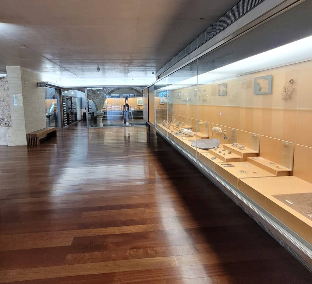 Fine Art Collection