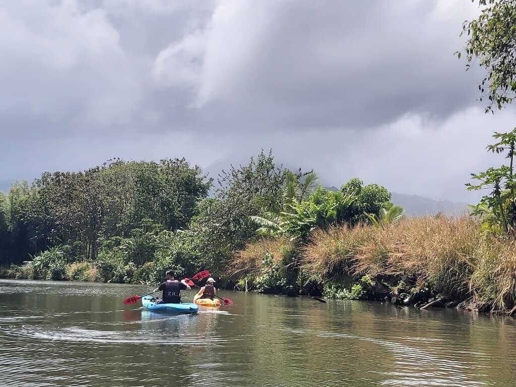 Hanalei River Wildlife Reserve
