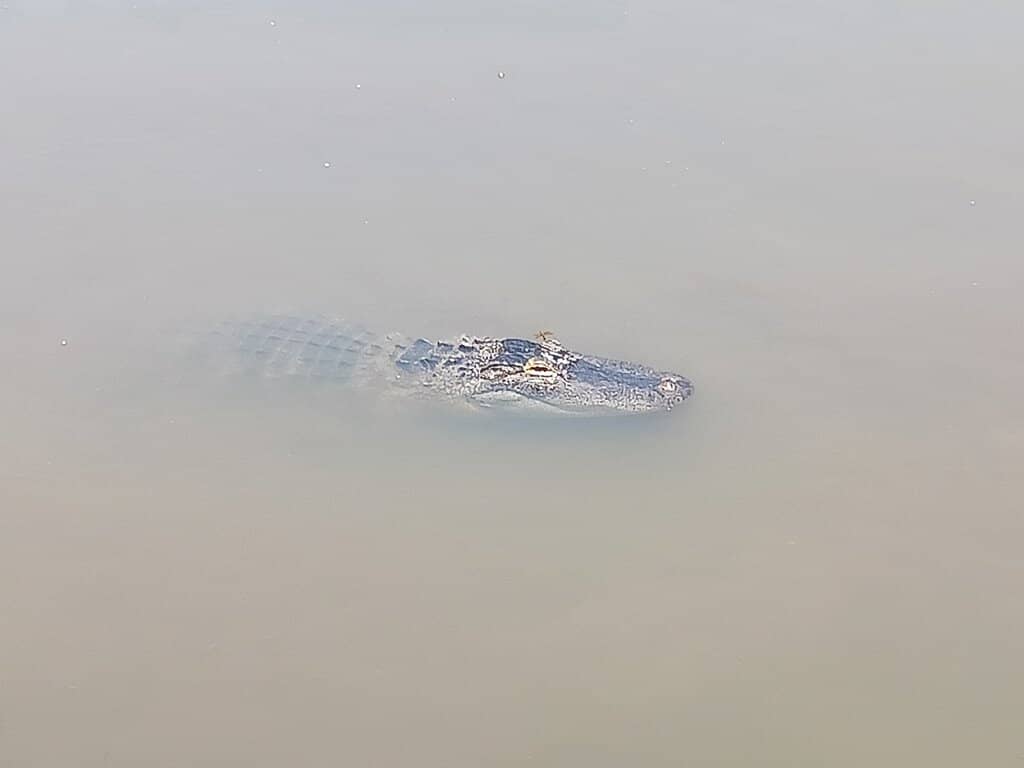 Boat Ramp Access