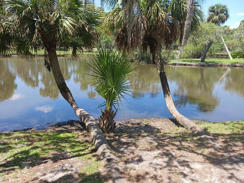 Picnic & Play Areas