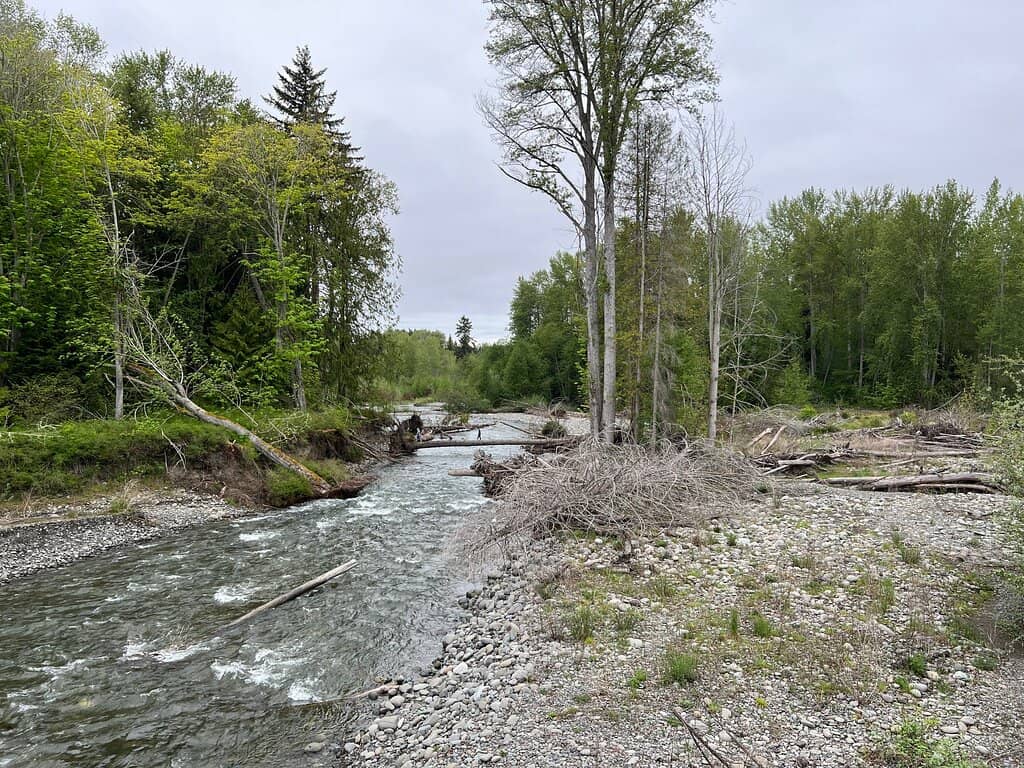 Pond Area
