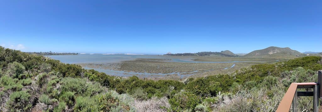 Pano picture