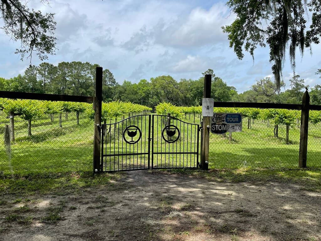 Vineyard Stroll & Animal Encounters