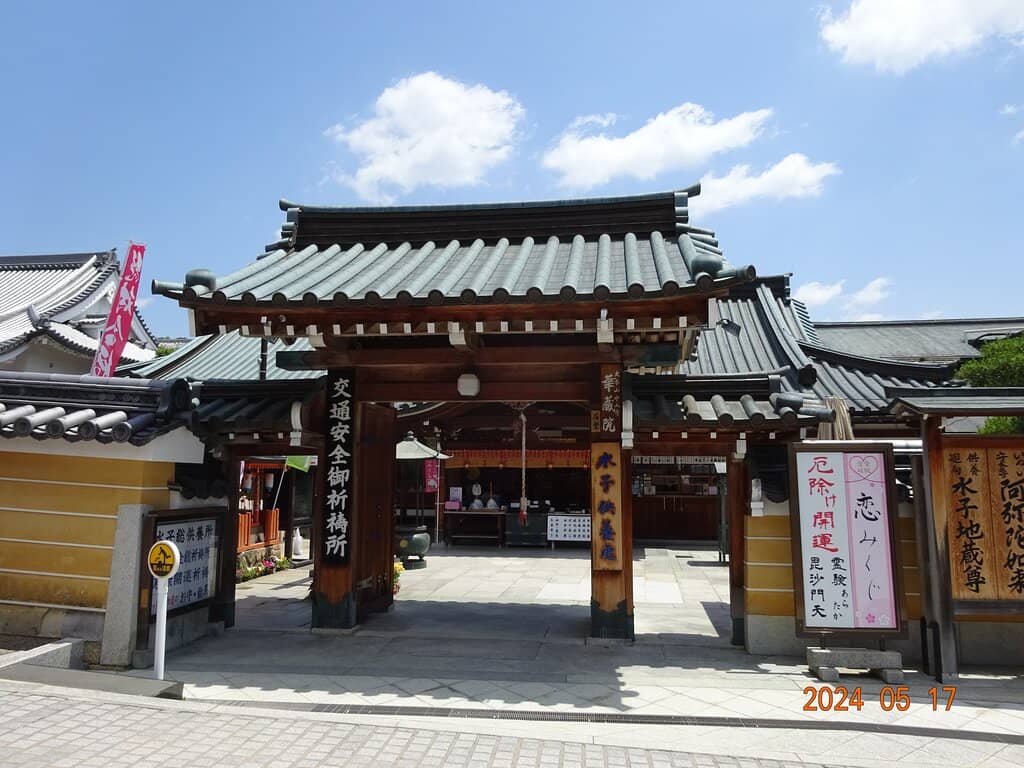 Plum Blossom Grove