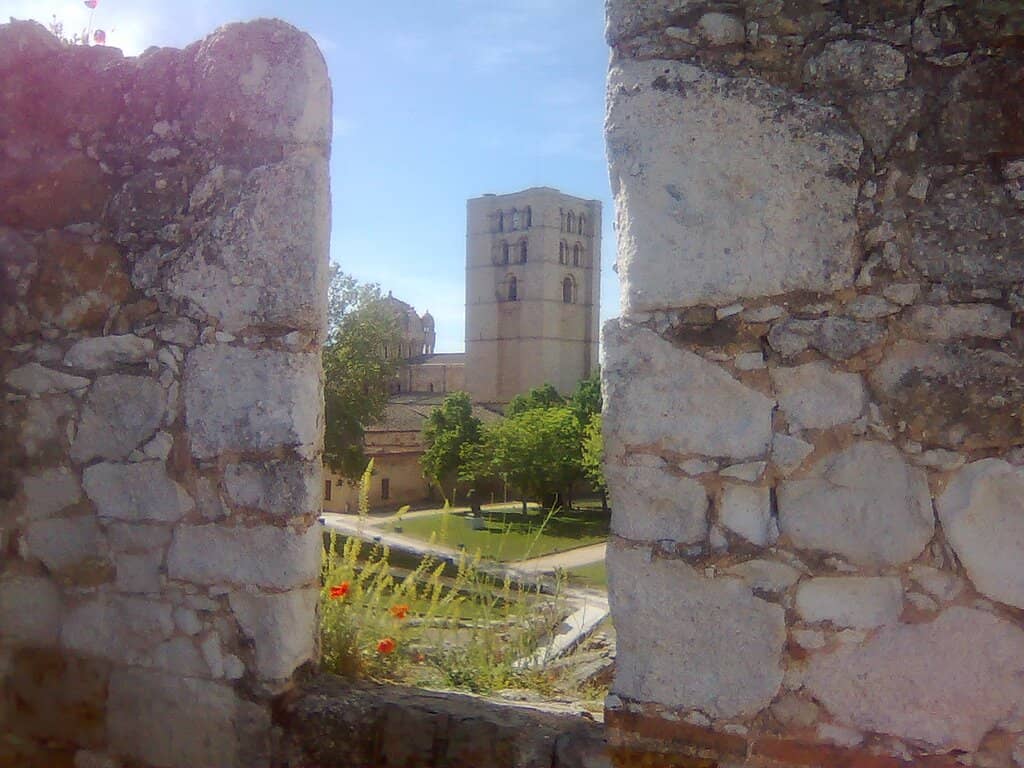 Vertical photo