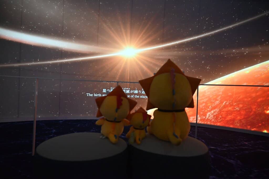 Dinosaur & Evolution Displays