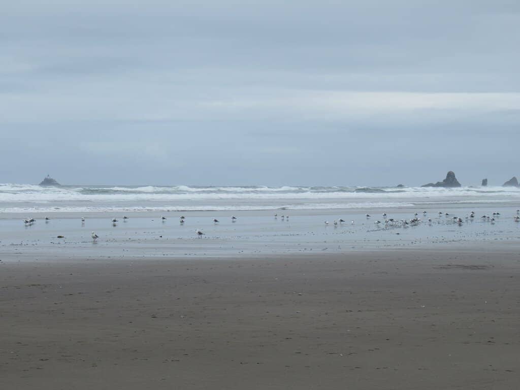 Ecola State Park Vistas