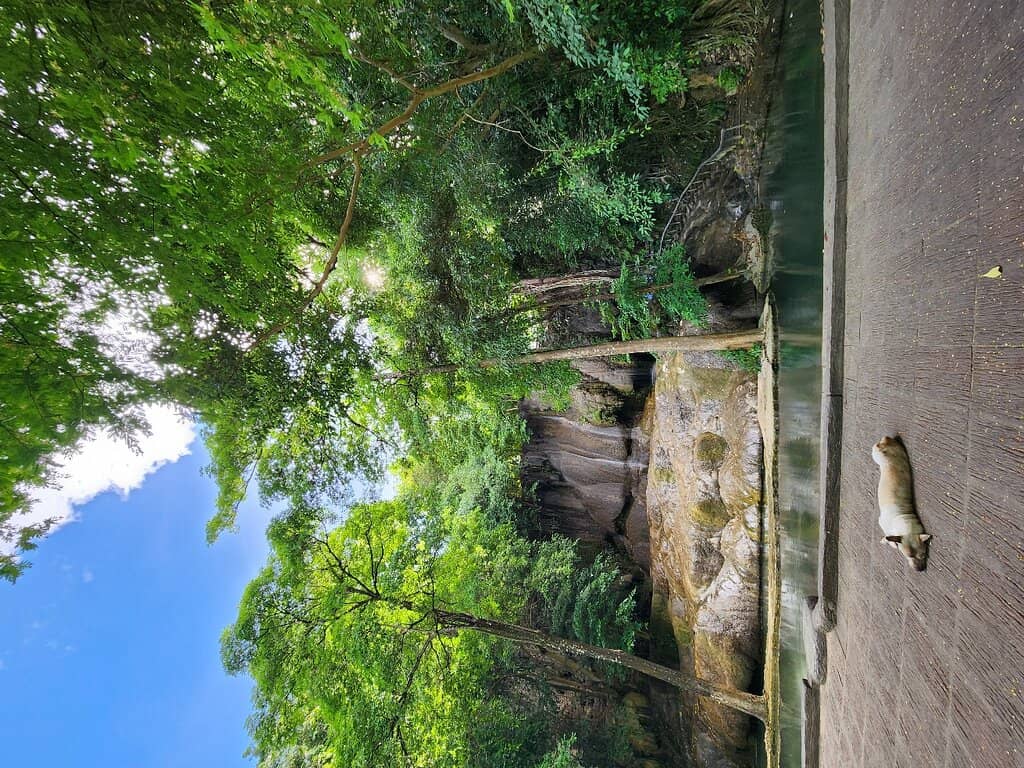 Riverfront Relaxation