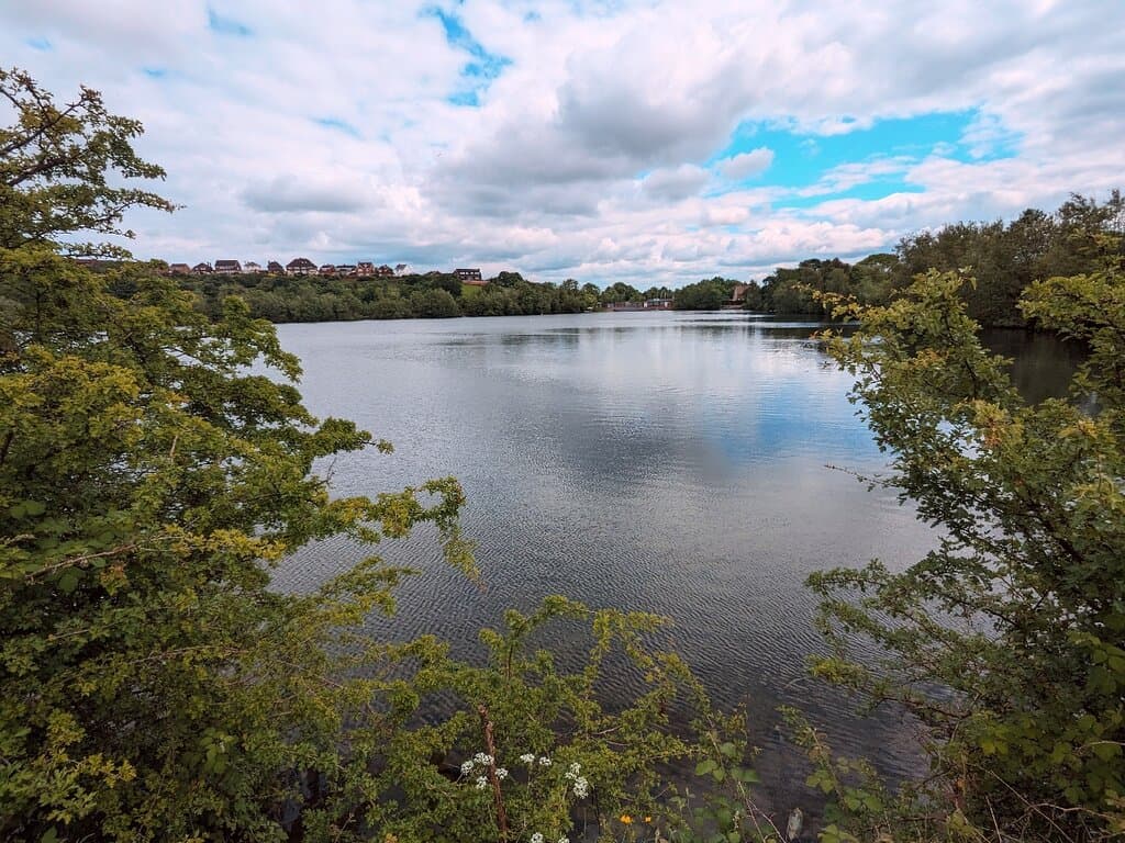 Saltwells National Nature Reserve