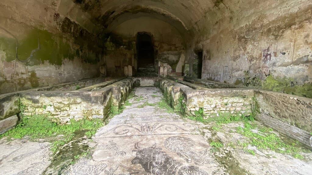 Original Staircase & Plumbing
