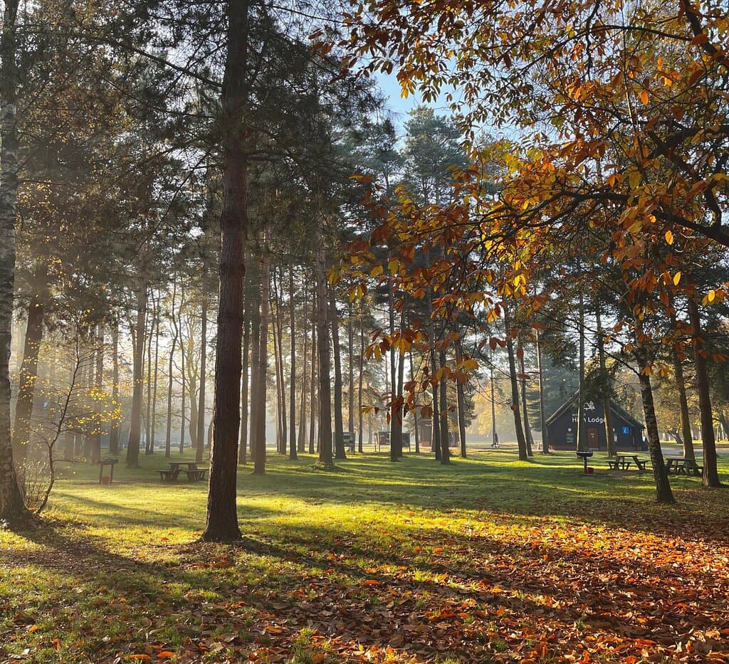 High Lodge in autumn