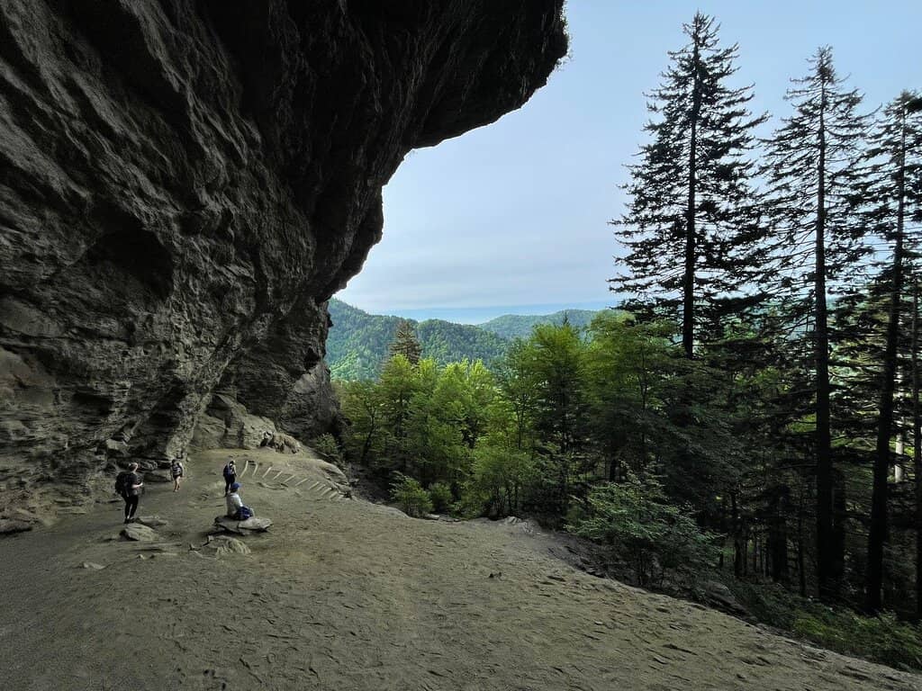 Vertical photo